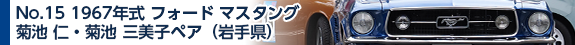 No.15